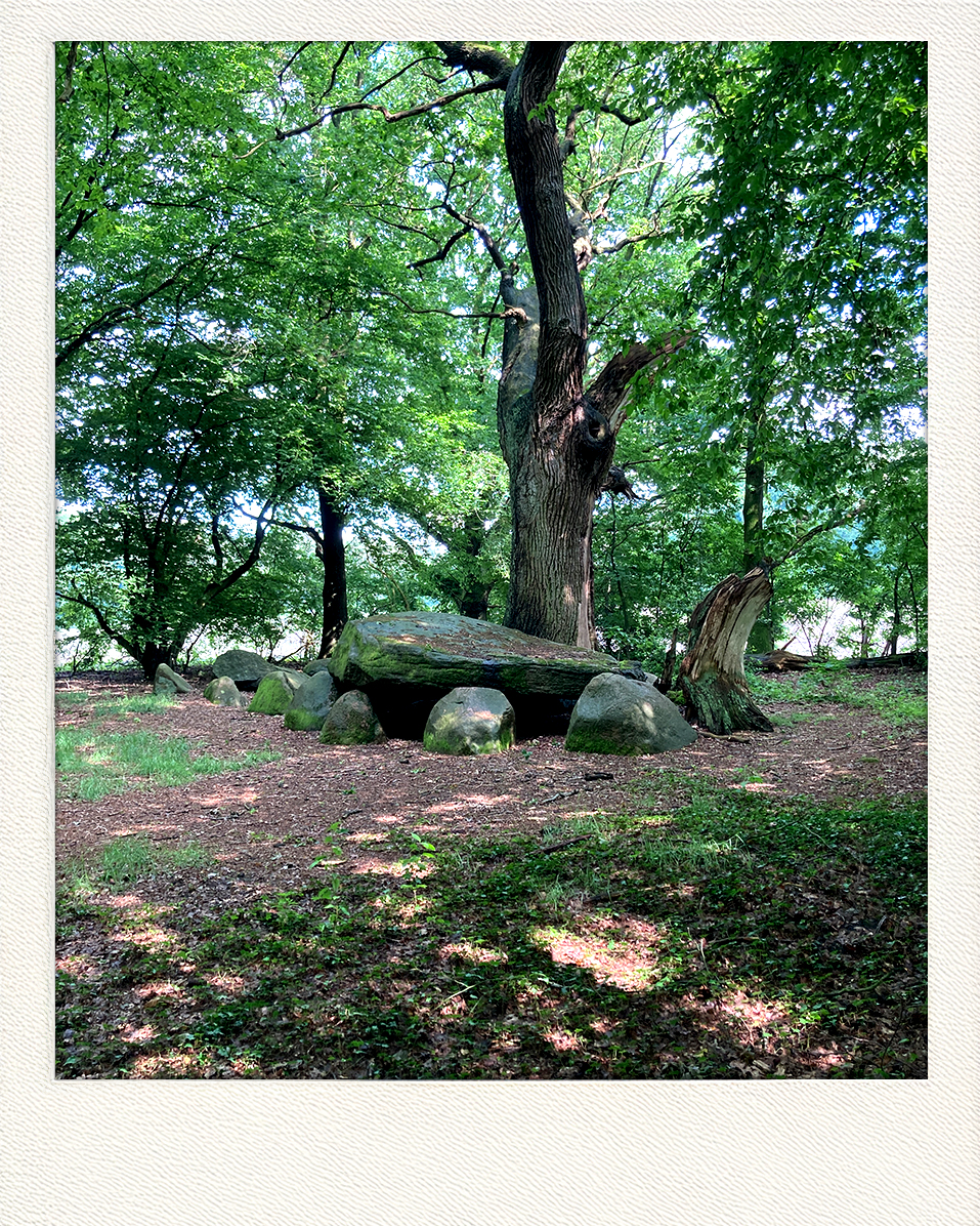 megalithgrab_wald_steine_urgeschichtlich_trichterbecherkultur